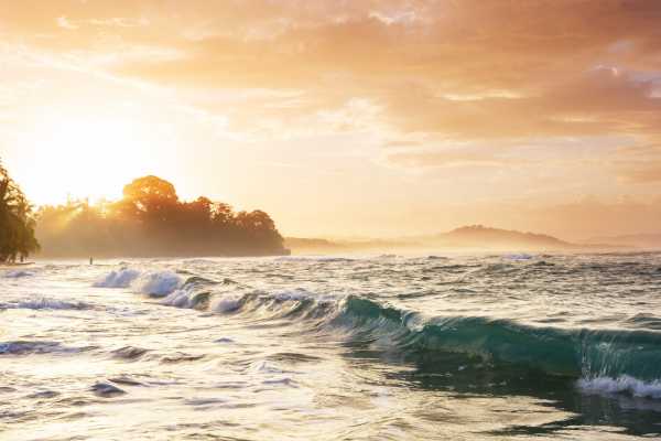 "Ollie's Point" All-Day Surfing Expedition