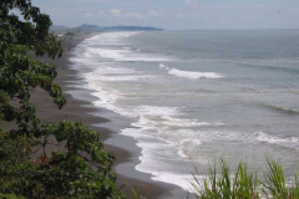 "Ollie's Point" All-Day Surfing Expedition
