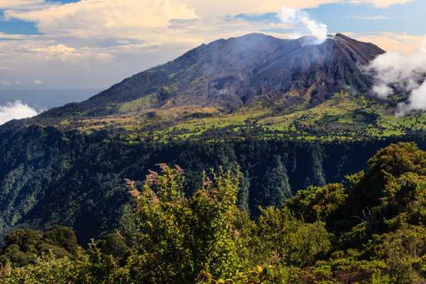 Turrialba Volcano and Rain Forest Tour