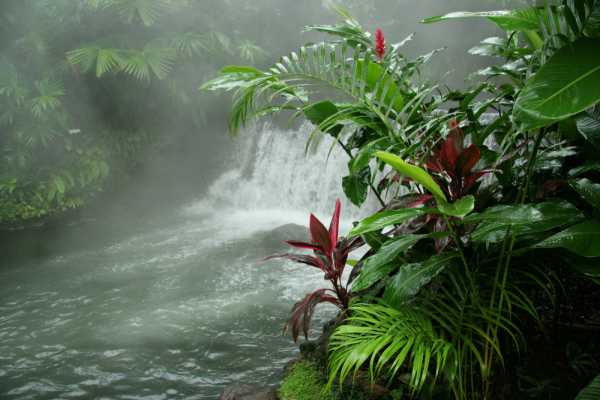 Turrialba Volcano and Rain Forest Tour