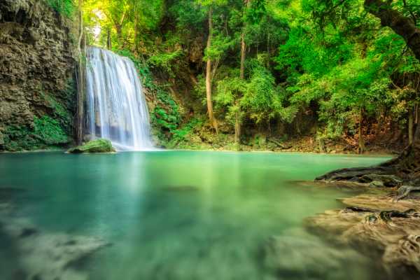 Turrialba Volcano and Rain Forest Tour