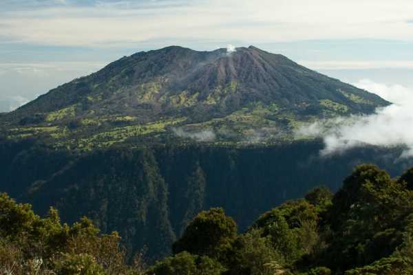 Turrialba Volcano and Rain Forest Tour