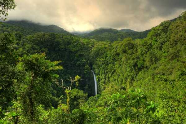 Turrialba Volcano and Rain Forest Tour