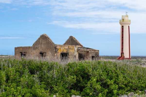 Bonaire Essentials Sightseeing Tour