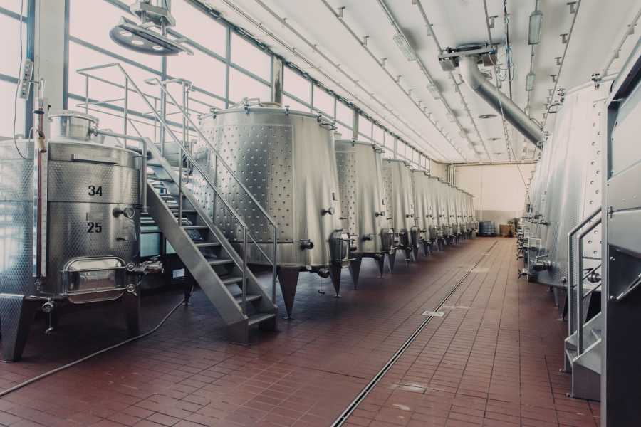 Enoteca Emilia Romagna I vitigni del territorio: visita e degustazione presso Monte delle Vigne