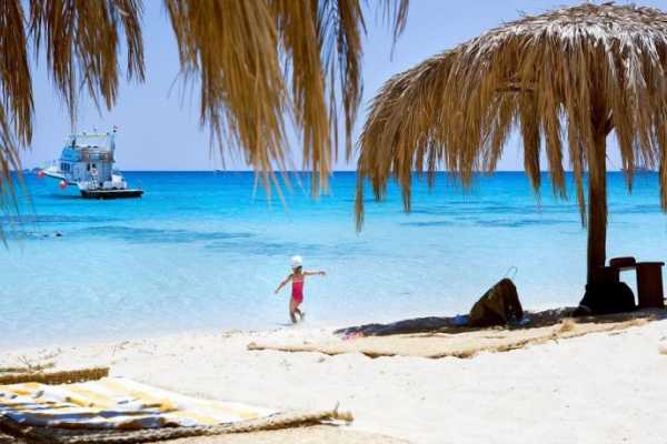 Mahmya Island Day Snorkeling Tour from El Gouna