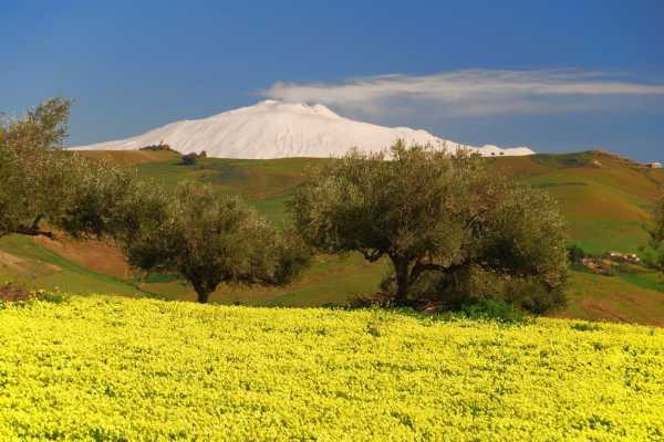 12 Days Contrasts of Northern Italy Small Group Tour