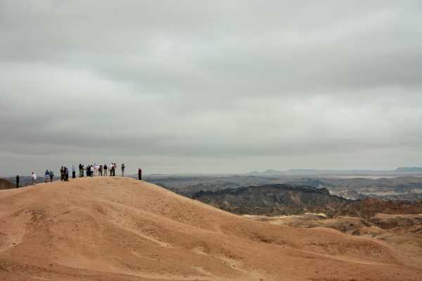 Walvis Bay Shore Excursion ( Treasures of the Namib Tour)
