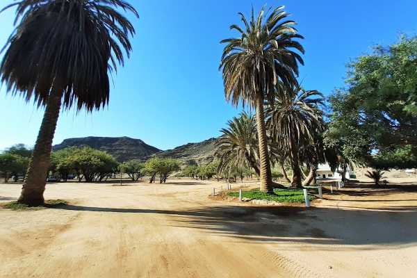 Walvis Bay Shore Excursion ( Treasures of the Namib Tour)
