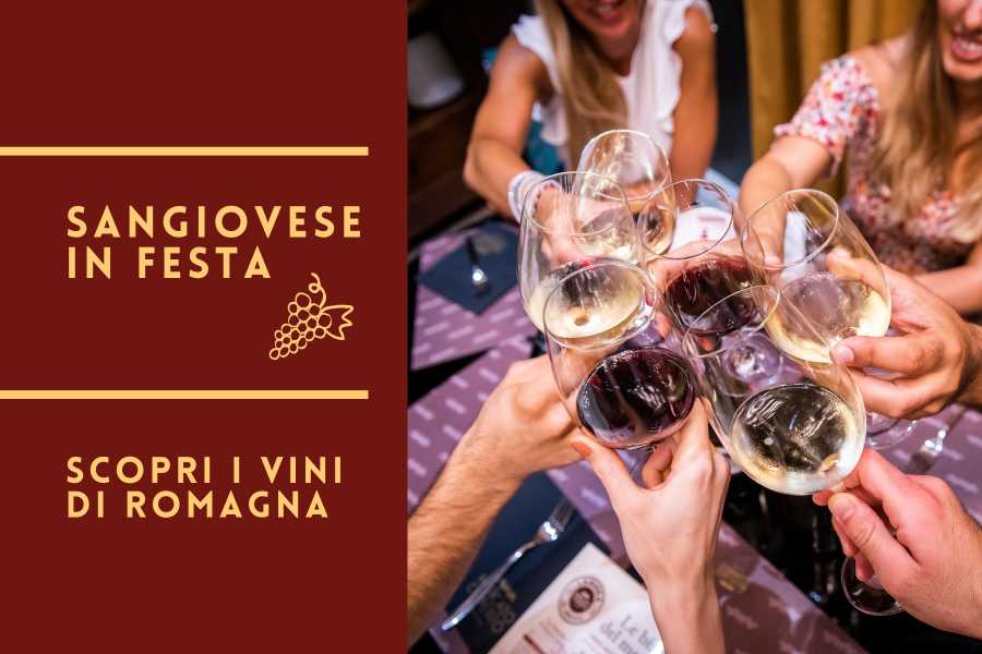 Ravenna Incoming (ERW) GiovinBacco - Carnet degustazione vini