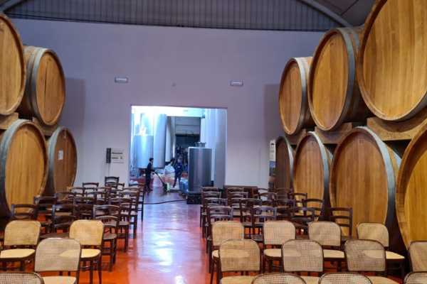 Degustazione dei vini di Marsala