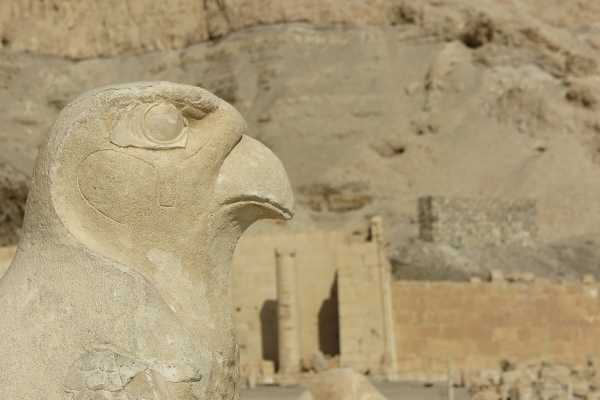 Three days tour to Aswan,Kom ompo, Edfu and Abu Simbel from El Gouna