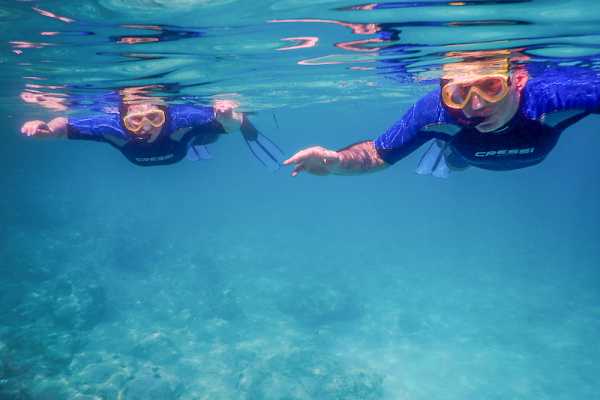 Seagull's Rocks Snorkeling