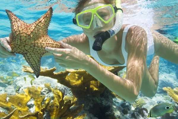 Snorkeling Trip At Satayh Dolphin Reef | Marsa Alam Day