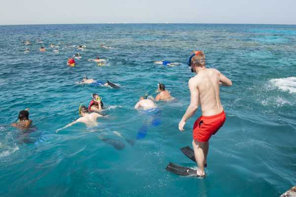 Snorkeling Trip At Satayh Dolphin Reef | Marsa Alam Day