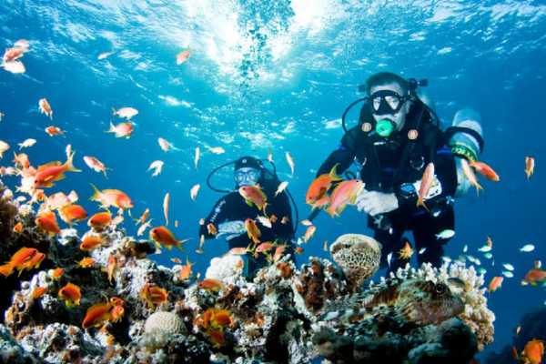 Port Galib Intro Diving Excursion From Marsaalam