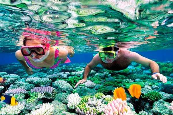 Port Galib Intro Diving Excursion From Marsaalam