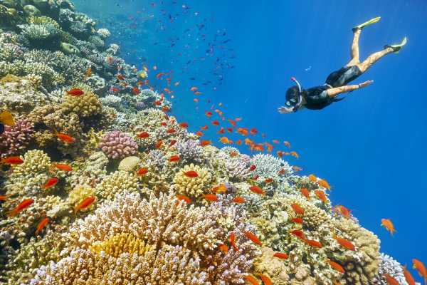 Port Galib Intro Diving Excursion From Marsaalam