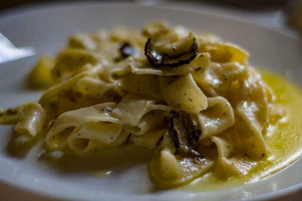 Caccia al tartufo con pranzo in ristorante a Palazzolo Acreide