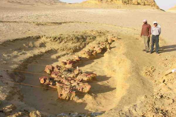Wadi Al Hitan day trip from Cairo