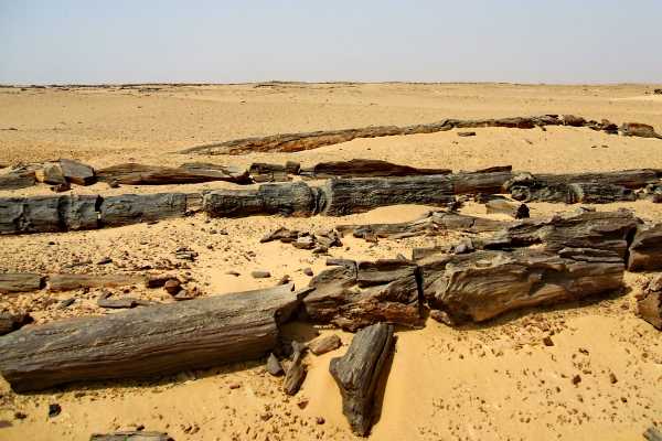 Day Trip to El Fayoum Oasis from Cairo | Fayoum Trips