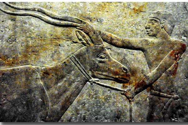Day trip to Giza Pyramids and Sakkara from Hurghada