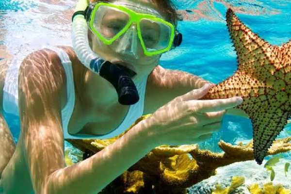 Giftun Island Snorkeling Tours in Hurghada