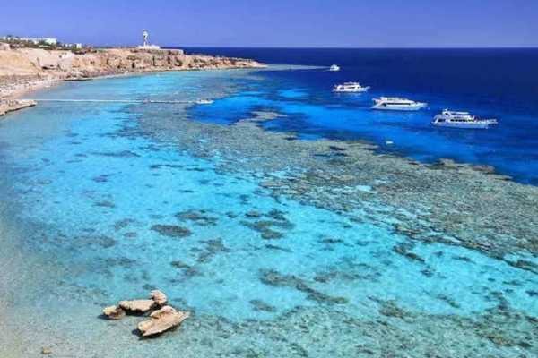 Snorkel Excursion in the Blue Hole with Camel ride from Sharm el Sheikh