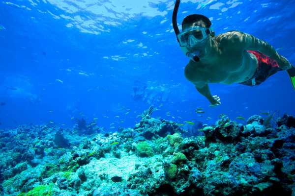 Tiran Island Snorkeling Boat Excursion From Sharm el Sheikh