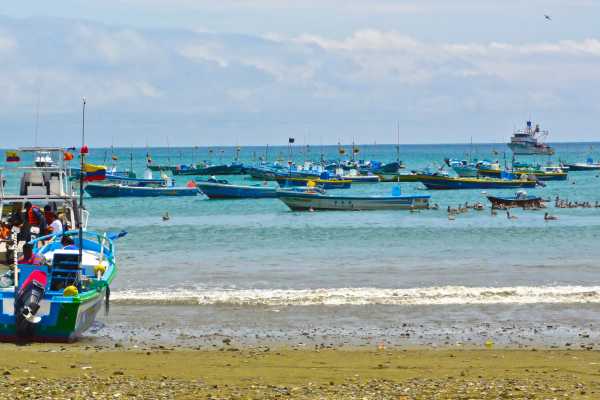 PACKAGE HOTEL | WHALE WATCHING |ISLA DE LA PLATA TOUR| PUERTO LOPEZ  |ECUADOR