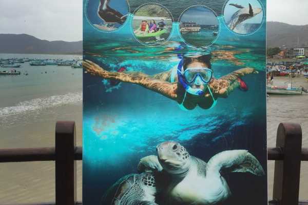 PACKAGE HOTEL | WHALE WATCHING |ISLA DE LA PLATA TOUR| PUERTO LOPEZ  |ECUADOR