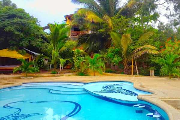 PACKAGE HOTEL | WHALE WATCHING |ISLA DE LA PLATA TOUR| PUERTO LOPEZ  |ECUADOR