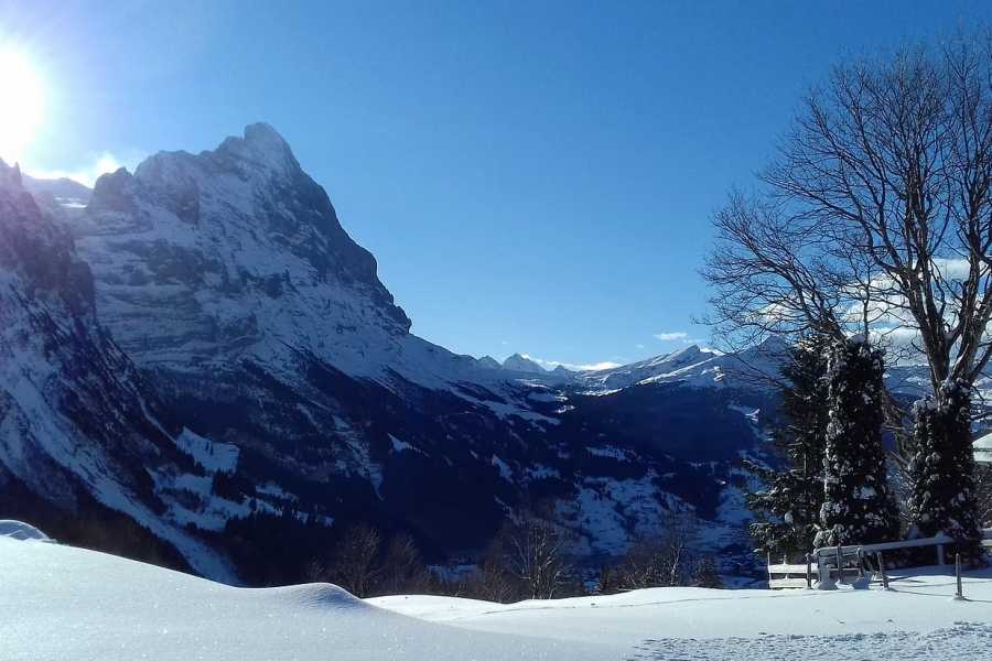 Outdoor Switzerland AG Snowshoe Tour: Wetterhorn Grindelwald