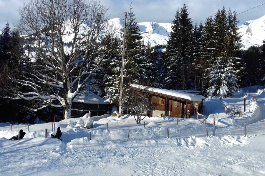 Outdoor Switzerland AG Snowshoe Tour: Wetterhorn Grindelwald