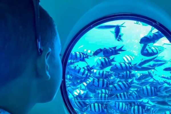 semi submarine El Gouna Egypt red sea Excursions