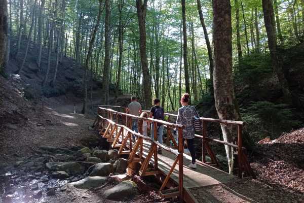 Trekking privato al bosco delle fate di Gambarie a Reggio Calabria