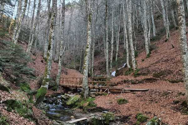Trekking privato al bosco delle fate di Gambarie a Reggio Calabria