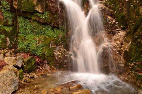 Trekking privato al bosco delle fate di Gambarie a Reggio Calabria
