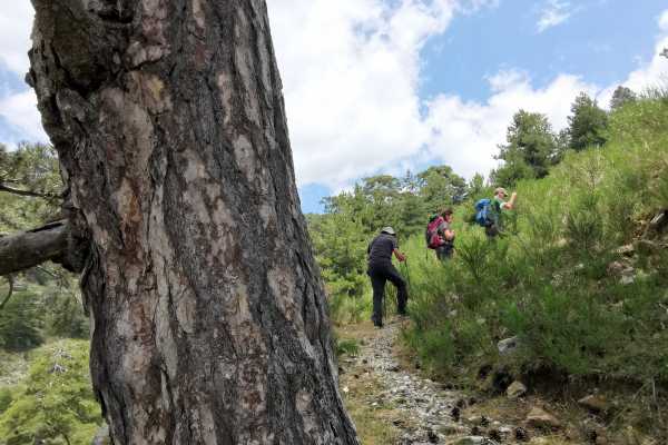 Trekking privato alle Cascate Maesano sull&rsquo;Aspromonte