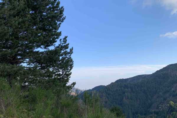 Trekking privato alle Cascate Maesano sull&rsquo;Aspromonte