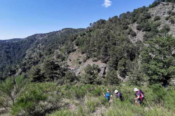 Trekking privato alle Cascate Maesano sull&rsquo;Aspromonte