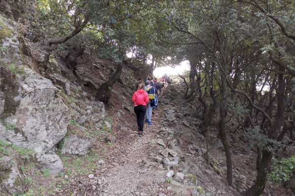 Trekking privato sull'Aspromonte, da Bova alla Vallata dell'Amendolea