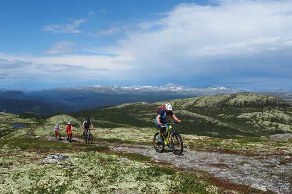 Guidet stisykkeltur uten shuttle - Privat tur