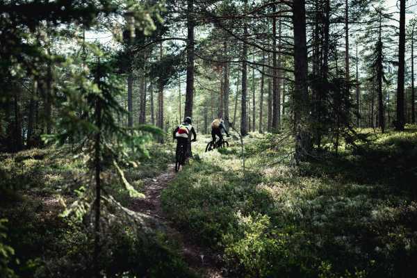 Guidet stisykkeltur uten shuttle - Privat tur