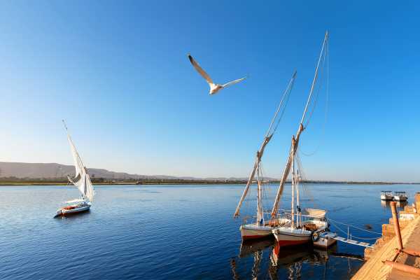 Sunset Sailing Trip with Flucca In Luxor
