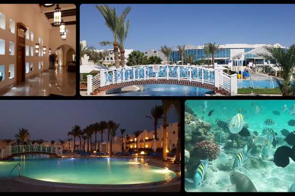 Marsa Alam Airport Transfers To Safaga Hotels