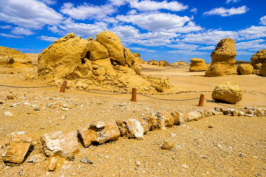 Let`s Explore Egypt 9 Days Egypt Tour &ndash; Cairo, Fayoum Oasis, Wadi El Hitan & White Desert