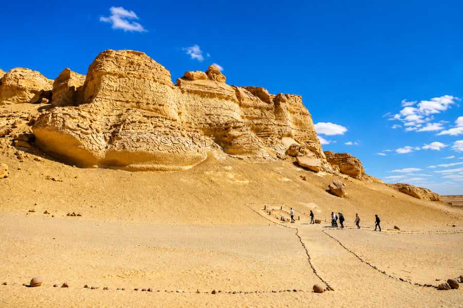 Let`s Explore Egypt 9 Days Egypt Tour &ndash; Cairo, Fayoum Oasis, Wadi El Hitan & White Desert
