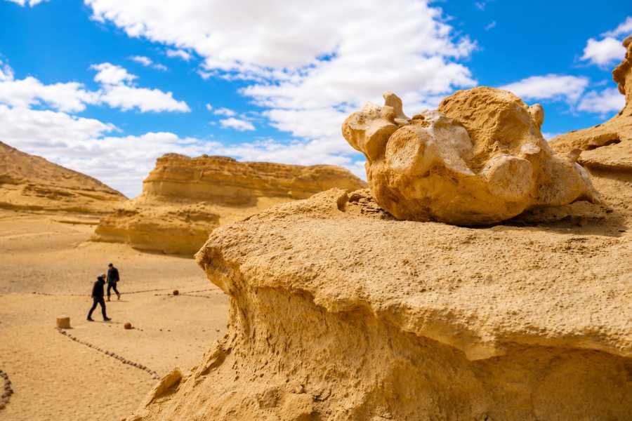Let`s Explore Egypt 9 Days Egypt Tour &ndash; Cairo, Fayoum Oasis, Wadi El Hitan & White Desert