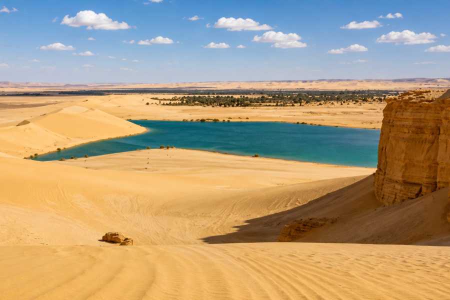 Let`s Explore Egypt 9 Days Egypt Tour &ndash; Cairo, Fayoum Oasis, Wadi El Hitan & White Desert